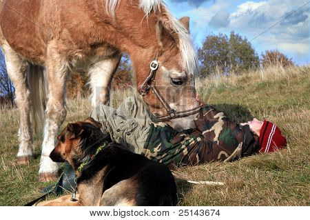 Junge, Pferde und Hunde