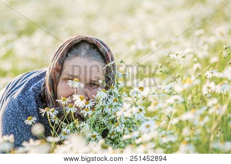 Grandmother, Field, Chamomile And The Concept Of Outdoor Recreation - An Old Lady In A Field With Da