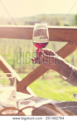 Glasses With Wine Red. Tasting Wine In The Vineyard.