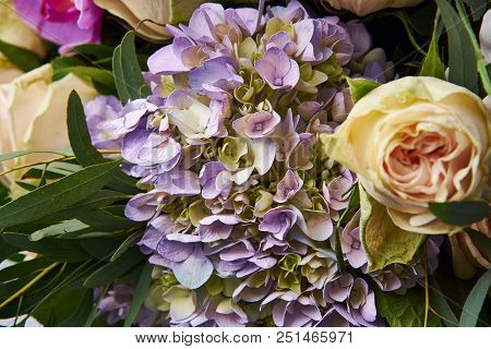 Bouquet Of Flowers Close Up. Beautiful Photo Collage For Floral Design And Card Celebration