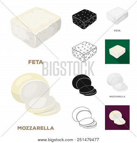 Different Kind Of Cheese Cartoon, Black, Flat, Monochrome, Outline Icons In Set Collection For Desig