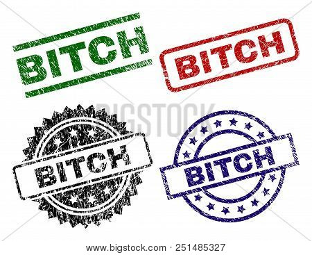 Bitch Seal Prints With Damaged Style. Black, Green, Red, Blue Vector Rubber Prints Of Bitch Caption 