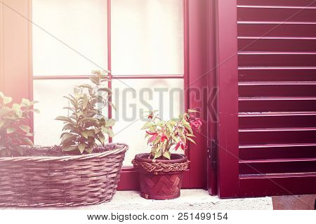 Cozy House With Red Wooden Shutters And Pots With Flowers On Windows Captured In Tirana City Center