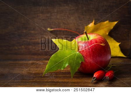 Autumn Background With Apple, Colored Maple Leaves, Rose