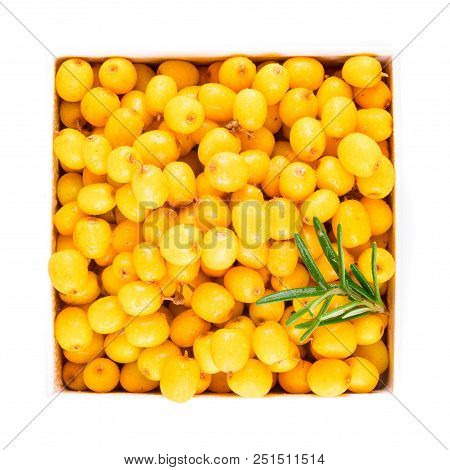 Branch Of Sea Buckthorn Berries With Leaves. Clipping Paths, Shadow Separated, Infinite Depth Of Fie