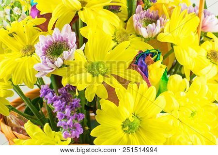 Beautiful Bouquet Of Yellow Chrysanthemums Flowers Close-up.