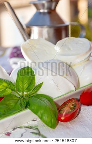 Fresh Soft Italian White Cheese Mozzarella Buffalo, Original From Campania, Paestrum And Foggia Regi