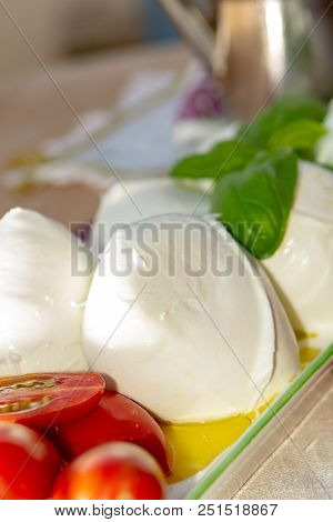 Fresh Soft Italian White Cheese Mozzarella Buffalo, Original From Campania, Paestrum And Foggia Regi