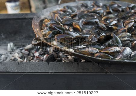 Fresh Mussels At Grill Pan. Seafood Barbecue Outdoors. Picnic Healthy Food, Mussels In Shells. Plent