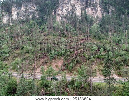 Downed Trees In Spearfish Canyon After Tornado Lands In Forest Drone Photo