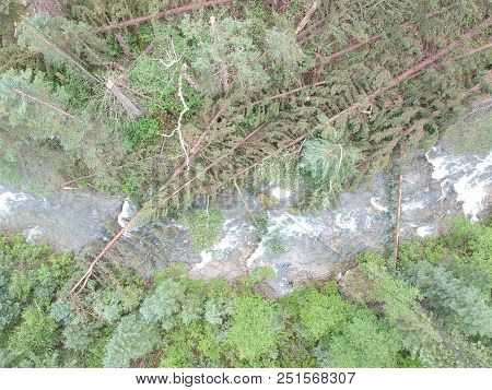 Downed Trees Over Stream In Spearfish Canyon After Tornado Lands In Forest Drone Photo