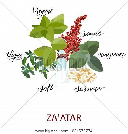 Za Atar Herbs Set. Hand Written Names. Aromatic Cooking Herbs