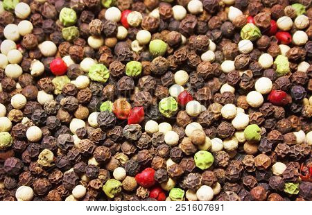 Сolored Peppercorns. Mixed Dried Peppers. Spicy. Background