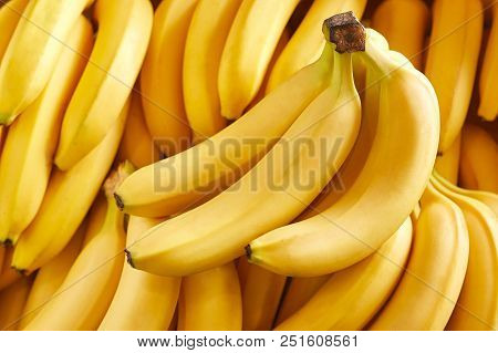 Overheadview Of Bunch Of Fresh Bananas In The Organic Food Market