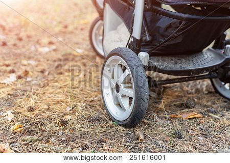 Stroller Over Needles Foliage In Coniferous Forest. Walking With Baby Pram At Natural Park With Fres