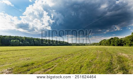 Summer Meadow With Dark Clouds And Forest