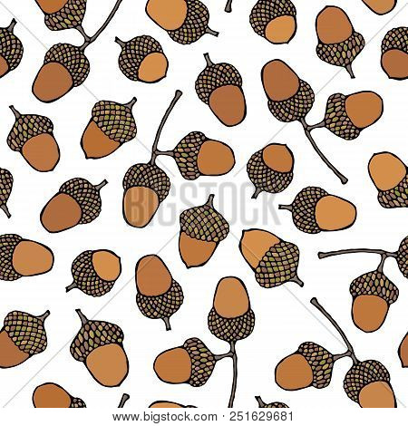 Seamless Endless Pattern Of Brown Acorns. Autumn Or Fall Vegetable Harvest Collection. Realistic Han