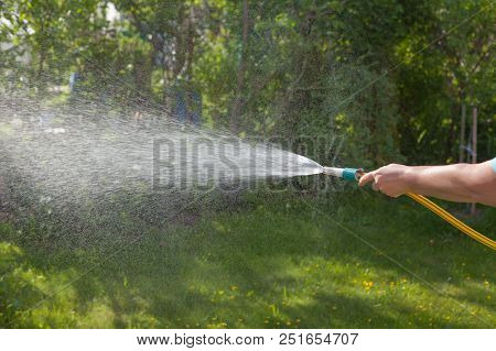 Watering The Garden. A Hosepipe In The Hand Of A Woman.