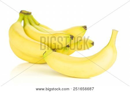 Lot Of Whole Fresh Yellow Banana One Cluster And Separated Banana Isolated On White Background