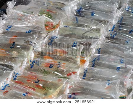 Bangkok, Thailand - July 27, 2018:sale Of Pet Fish In Fishmarket At Chatuchak Weekend Market. This F