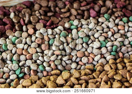 Dry Pet Food Background - Three Kinds. Meat.