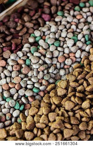 Dry Pet Food Background - Three Kinds. Meat.