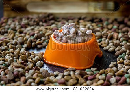 Wet Canned Pet Food In A Bowl Surrounded By Dry Food
