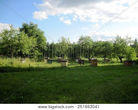 The Bee Apiary, Lit By The Summer Sun.
