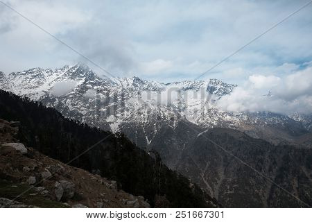 Forest And Snow-capped Mountains In The Clouds