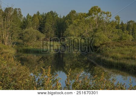 Tepla Vltava River In Summer Morning In National Park Sumava