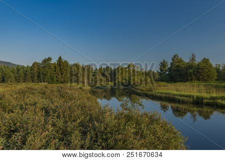Tepla Vltava River In Summer Morning In National Park Sumava