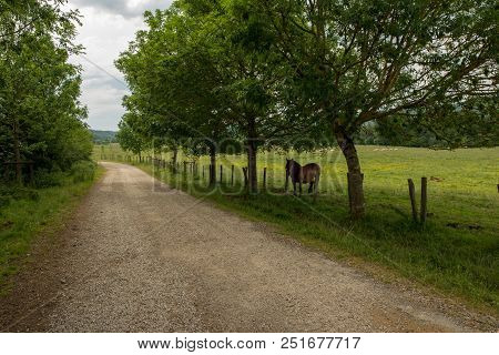 The Road To Santiago As It Passes Through Burguete