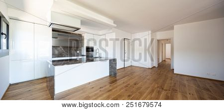 Interior of modern luxury apartment, empty attic, kitchen open space