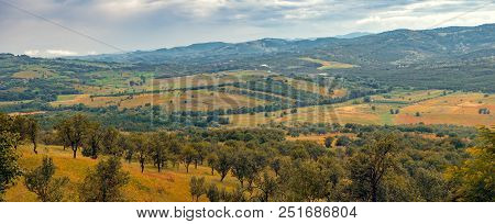 Country Landscape With Apple And Plum Orchard. Valea Plopului Village, Prahova County, Romania.