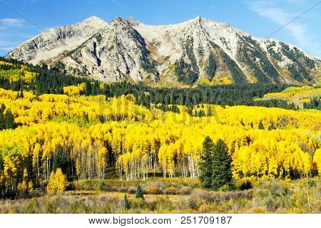 Golden Aspen Colorado Image & Photo (Free Trial) Bigstock
