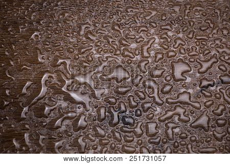 Texture Of A Tree With Lots Of A Drop Of Water Close-up