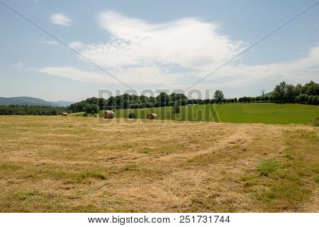 The Road To Santiago Between Roncesvalles And Zubiri