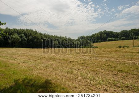 The Road To Santiago Between Roncesvalles And Zubiri