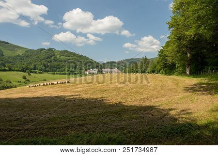 The Road To Santiago Between Roncesvalles And Zubiri