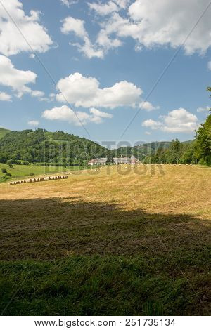 The Road To Santiago Between Roncesvalles And Zubiri