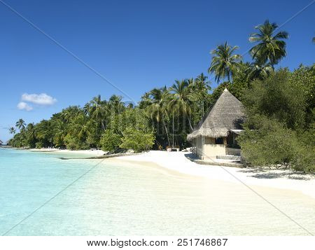 Tropical Island With Palms White Sand And Blue Water