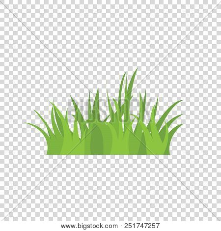 Tufts Of Grass. A Set Of Design Elements Of Nature. Vector Illustration.