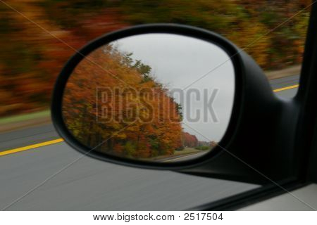 Zeleň v zrcadle
