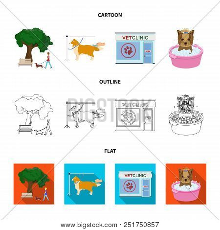 Walking With A Dog In The Park, Combing A Dog, A Veterinarian Office, Bathing A Pet. Vet Clinic And 