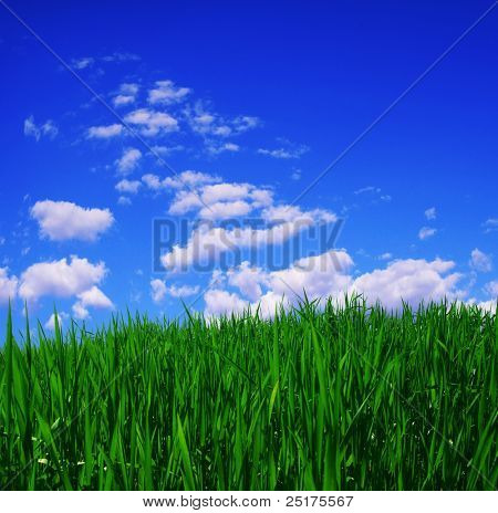 草と空