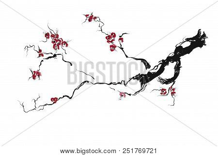 Realistic Sakura Blossom - Japanese Cherry Tree Isolated On White Background.
