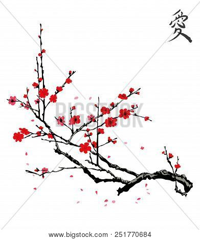 Realistic Sakura Blossom - Japanese Cherry Tree Isolated On White Background.