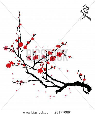 Realistic Sakura Blossom - Japanese Cherry Tree Isolated On White Background.