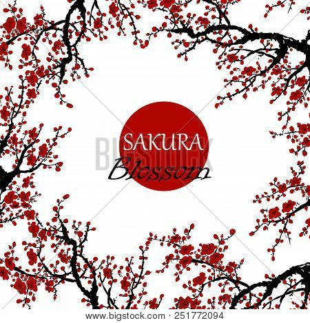 Realistic Sakura Blossom - Japanese Cherry Tree Isolated On White Background.