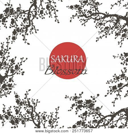 Realistic Sakura Blossom - Japanese Cherry Tree Isolated On White Background.